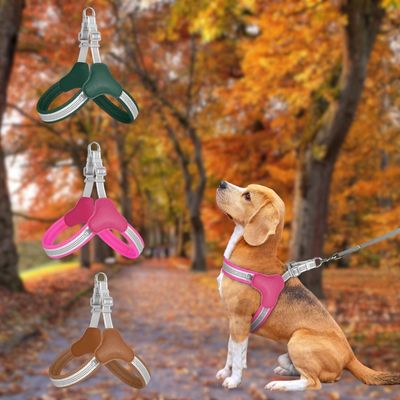 Beagle assis en forêt avec harnais anti traction chien rose et trois modèles de couleurs à gauche.
