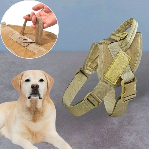 Harnais anti traction chien beige avec zoom sur la poignée et Labrador sable allongé.