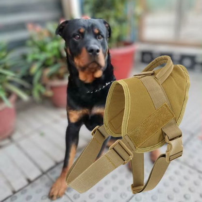 Harnais anti traction chien beige clair type tactique devant un Rottweiler.