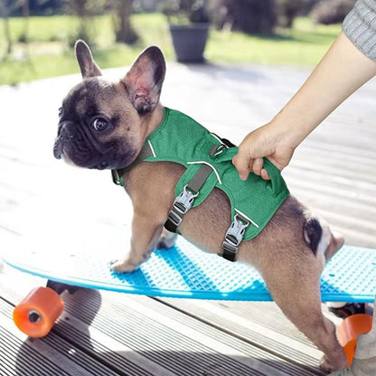 Chiot Bouledogue français sur un skate tenu par la poignée d'un harnais anti traction chien vert.