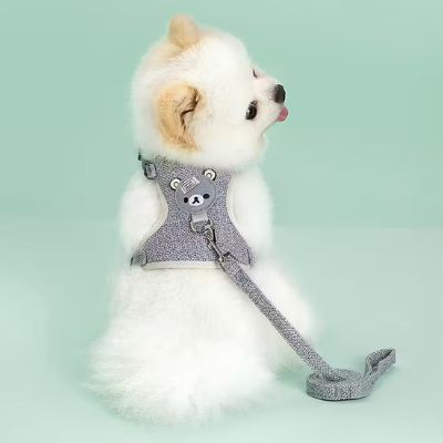 Spitz blanc vu de dos portant un harnais chien gris chiné et sa laisse coordonnée.