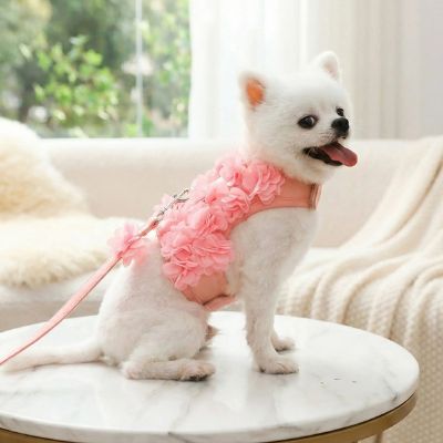 Spitz blanc de profil portant un harnais chien décoré de fleurs colorées en relief.