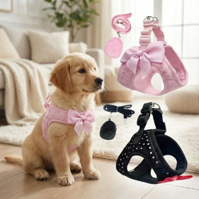 Chiot Golden Retriever avec harnais chien rose et présentation des modèles rose et noir.