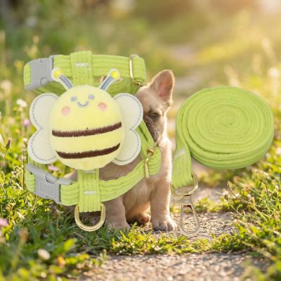 Harnais chien vert pomme avec motif abeille et sa laisse assortie posés dans l'herbe.