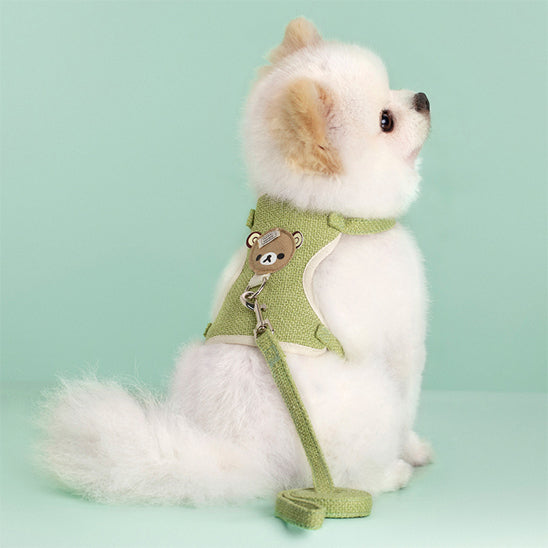 Petit chien de type Spitz portant un harnais chien vert pastel avec motif ours
