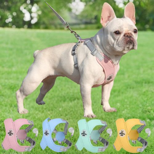 Harnais pour chien-GentleGrip™: Bulldog français présenter avec harnais Rose, Bleu, Vert et Jaune