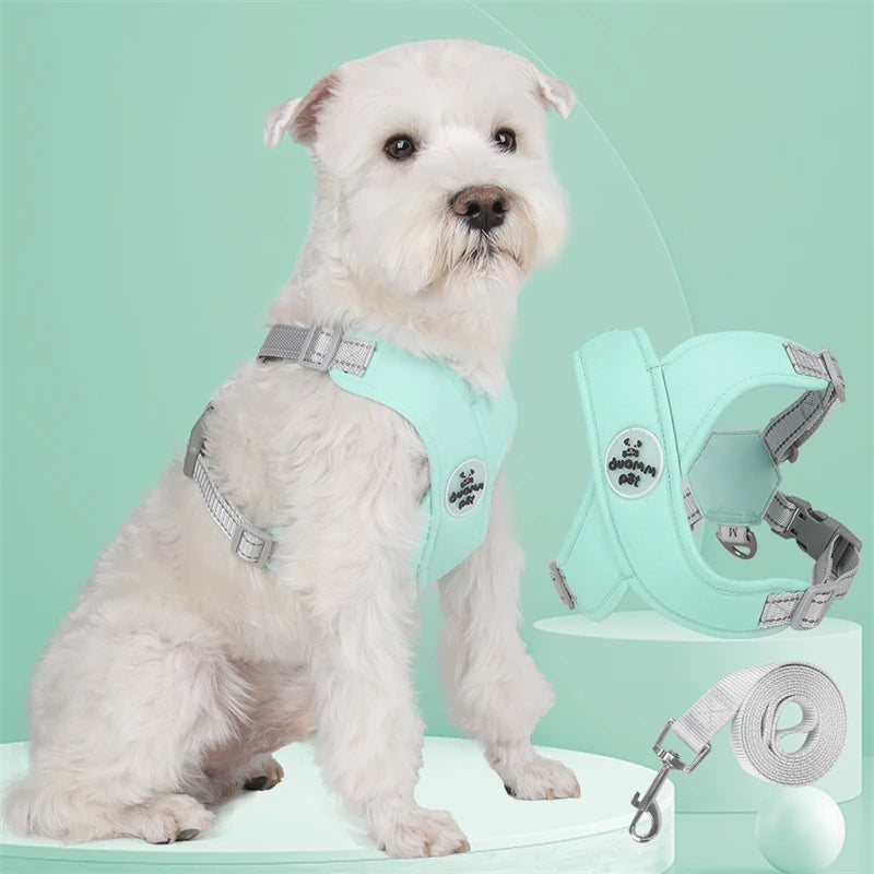 Harnais pour petit chien GentleGrip™ vert X en polyester et coton, rembourré éponge pour confort, avec laisse.