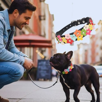 Homme souriant avec un Bouledogue Français noir en laisse. Il porte un collier pour chiot cuir motif fleur amusant. Incrustations : un Spitz et le produit. Cadre humain.