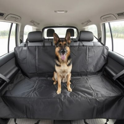 Berger Allemand assis sur une housse protection voiture chien noire couvrant toute la banquette.