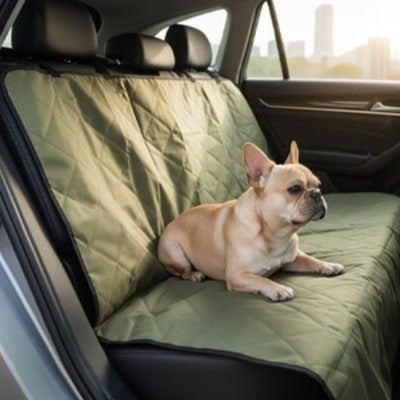 Bouledogue français assis sur une housse protection voiture chien matelassée vert olive.