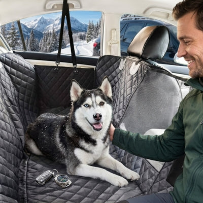 Chien Husky aux yeux vairons sur une housse pour voiture pour chien dans un paysage de neige.