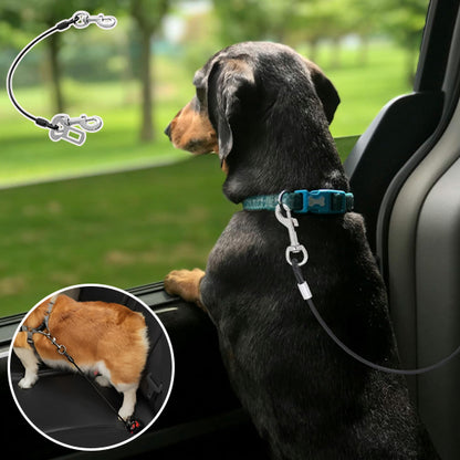 Laisse de chien-SafePet™ : 