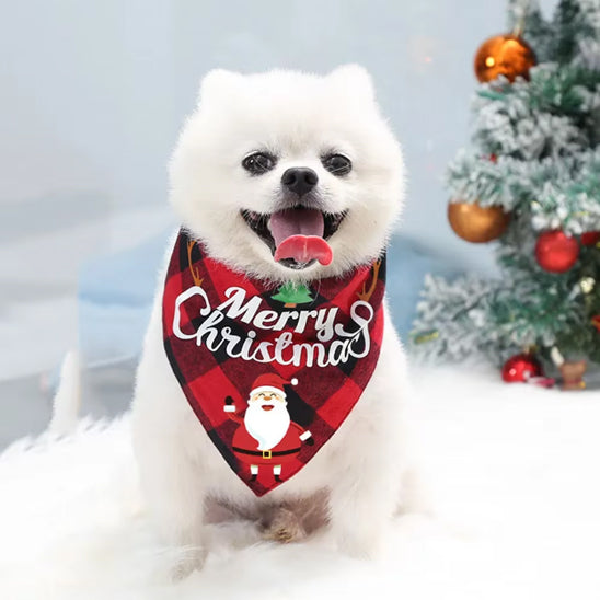 Collier Chien-BandanaXmas™ : collier chien avec foulard carrelé rouge-noir et motif de noël procure beaucoup de style à votre Loulou de Poméranie tout heureux dans la neige.