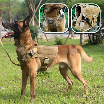 Harnais pour chien : Ce harnais conçu avec un tissus en nylon imperméable 1050D de couleur beige dispose des boucles à dégagement rapide et un anneaux en D pour accroché une laisse