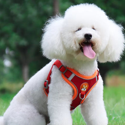 Harnais chien-ChicHarn™ : Ce caniche est très stylé avec son harnais en tissu Oxford durable, respirant et rembourré de couleur rouge avec des contours orange