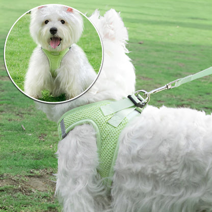 Harnais anti traction chien : Ce loulou est au parc avec son harnais anti-traction fait d'un tissage gaufré doux et confortable  de couleur verte avec une laisse assortie