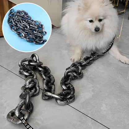 Laisse pour chien : Ce chiot est content accompagné de son maitre qui tient sa laisse en chaine PVC antirouille