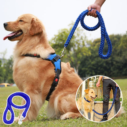 Laisse chien-StrongSFP™ : Cette image montre deux chiens maitriser par leur maitre grace à une laisse en nylon tresser de couleur bleu et noir