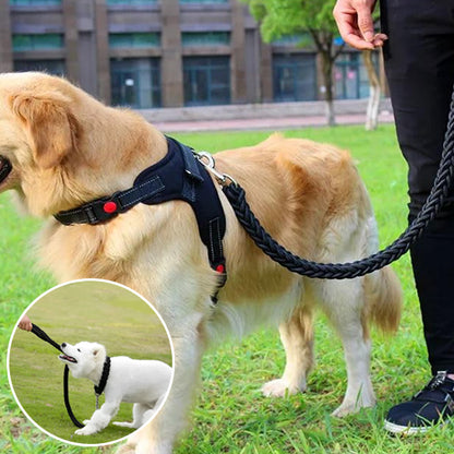 Laisse chien-StrongSFP™ : Ce labrador près de son maitre qui tient une laisse en nylon tresser de couleur noir