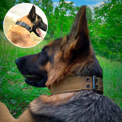 Collier de dressage pour chien-EnduroBelt™ : Ce collier chien de couleur marron en nylon est parfait pour chien puissant, comme berger allemand couché dans le gazon