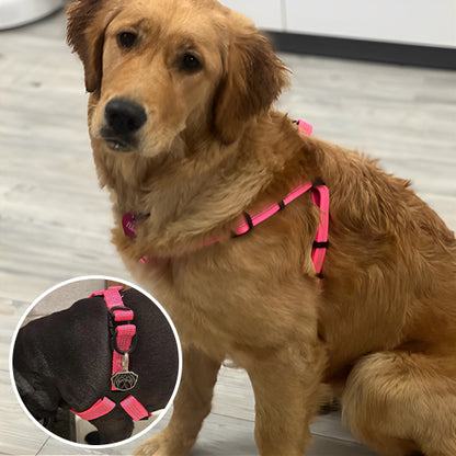 Harnais chien-SafeStride™ : Ce  harnais chien en nylon de couleur rouge procure sécurité et maniabilité