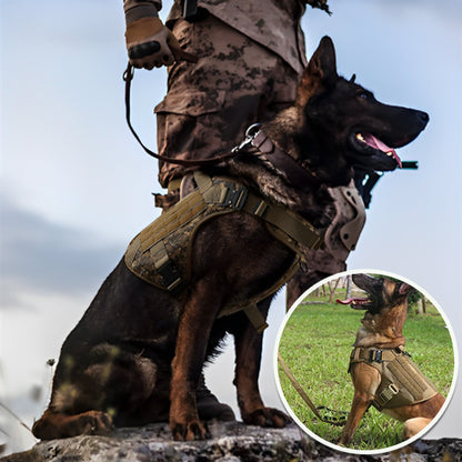 Harnais pour chien : Ce berger allemand est au pied de son maitre avec un harnais conçu avec un tissus en nylon imperméable 1050D de couleur beige