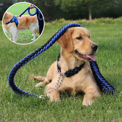 Laisse chien-StrongSFP™ : Ce labrador couché dans le gazon tout heureux avec sa laisse en nylon tresser de couleur bleu et noir