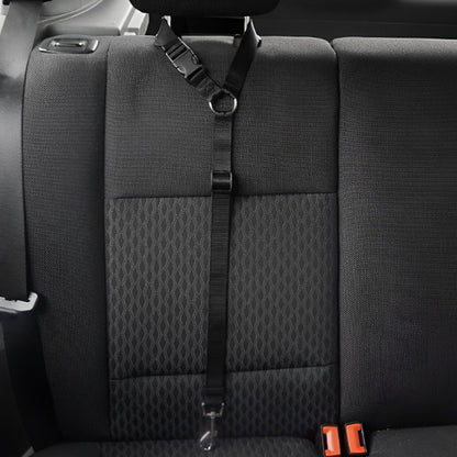 Laisse de chien-BeltBliss™ : Cette laisse en nylon de couleur noir accroché aux appui-tête du siège fait aussi office de ceinture de sécurité