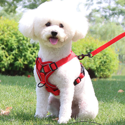 Harnais chien-ReflectoHarn™ : Ce caniche assis au parc avec son harnais rembourré, respirant, doux et confortable de couleur rouge attaché avec une laisse de la même couleur avec des bandes réfléchissantes