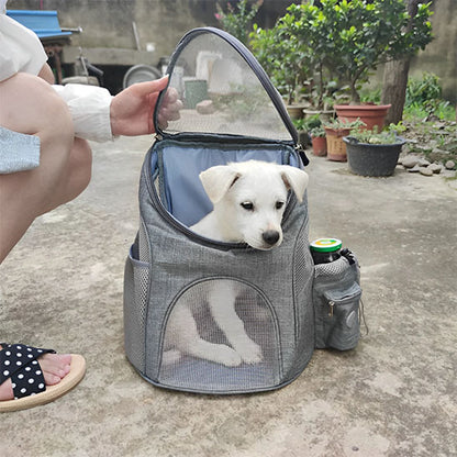 Sac à dos pour chien : Ce petit labrador veut sortir de son sac à dos pour chien de couleur grise en compagnie de sa maitresse