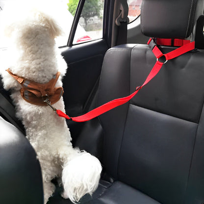 Laisse de chien-BeltBliss™ : Ce caniche regarde par la vitre de la voiture maintenu par une laisse en nylon de couleur rouge accroché aux appui-tête du siège qui fait aussi office de ceinture de sécurité