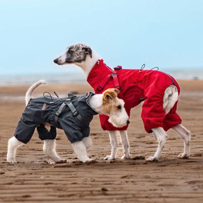 Un duo de chiens en imperméable pour chien rouge et gris sur le sable.