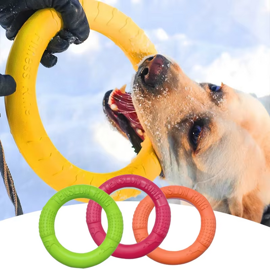 Chien mordant un jouet chien anneau jaune en extérieur, trois anneaux colorés au premier plan