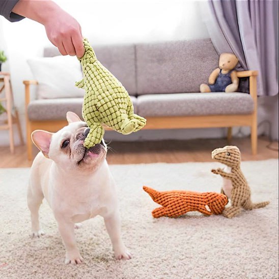 Main tenant une peluche pour chiens verte au-dessus d'un Bouledogue français blanc.