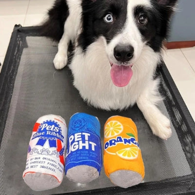 Border Collie avec 3 peluches : Pets Blue Ribbin, Pet Light et Orange.