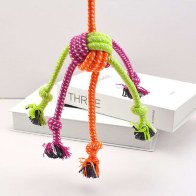 Gros plan d'un jouet pour chiens suspendu au-dessus d'un livre blanc avec l'inscription "THREE".