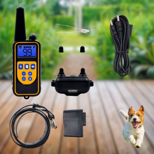 Kit complet de collier de dressage chien avec télécommande, récepteur, sangle, chargeur et un Jack Russell Terrier bondissant en arrière-plan.