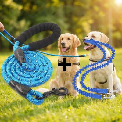 Double laisse pour chien bleue : poignée rembourrée et séparateur élastique avec deux chiens.