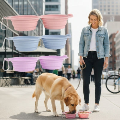 Labrador en ville mangeant dans une gamelle pour chien rose avec modèles bleu et violet.
