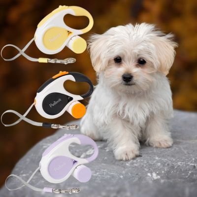 Laisse chien rétractable Petlimit en 3 coloris avec un chiot blanc sur un rocher.