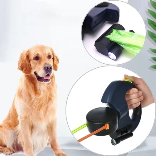 Golden Retriever posant à côté de la laisse double pour chien bleu foncé. Modèle rétractable avec lampe et distributeur de sacs pour deux chiens.