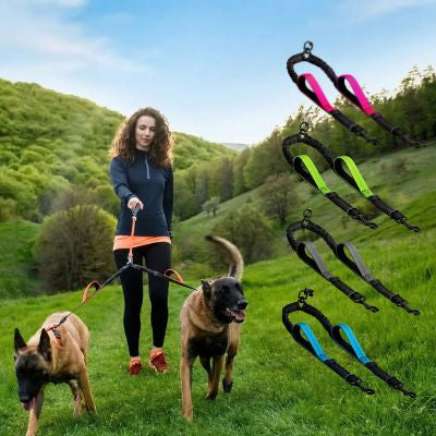 Femme promenant deux chiens avec une laisse double pour chien en prairie, collines vertes en arrière-plan.