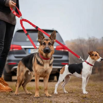 Laisse double pour chien rouge avec un Berger Allemand et un Jack Russell Terrier.