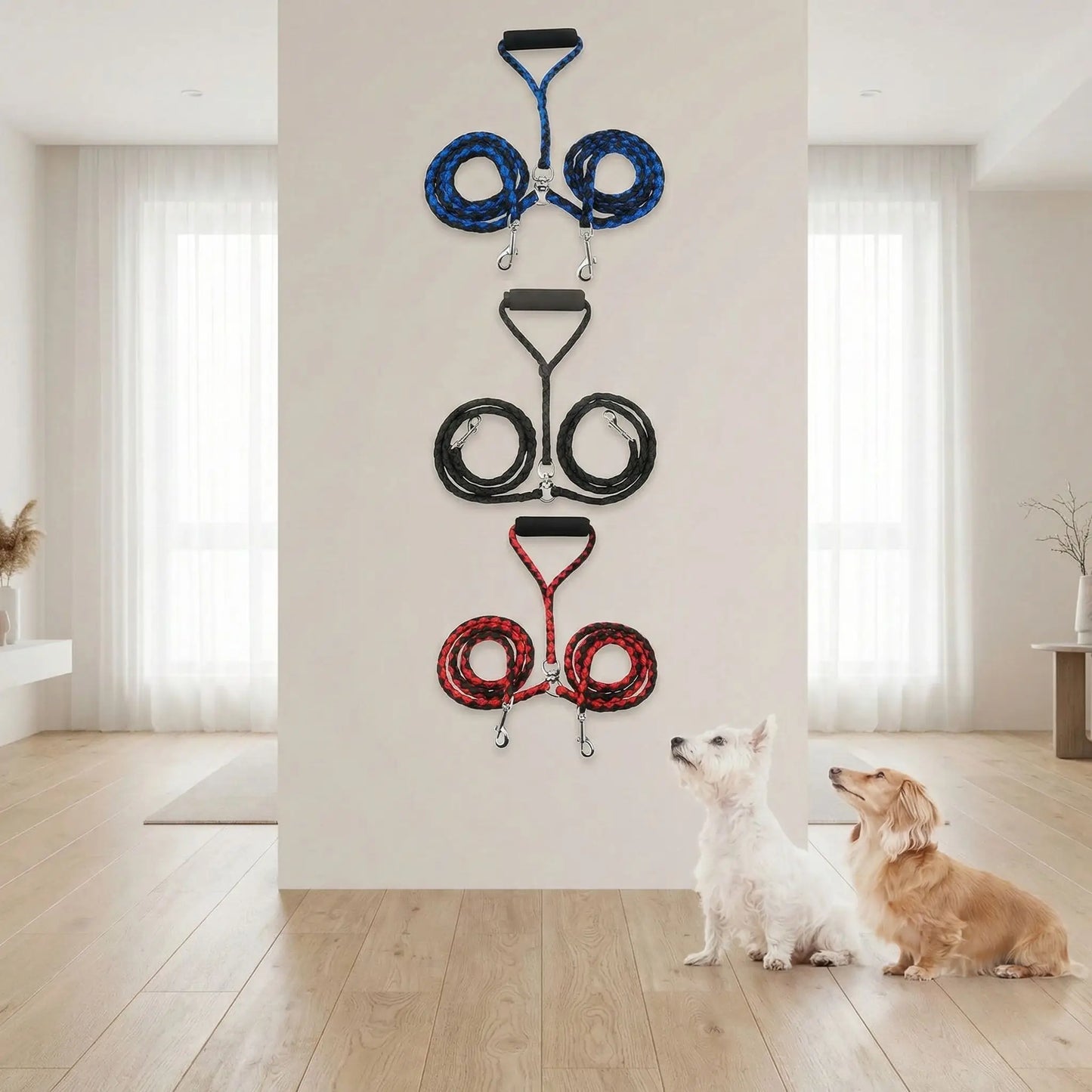 Trois modèles de laisse longe pour chien (bleu, noir, rouge) avec un Westie et un Teckel.