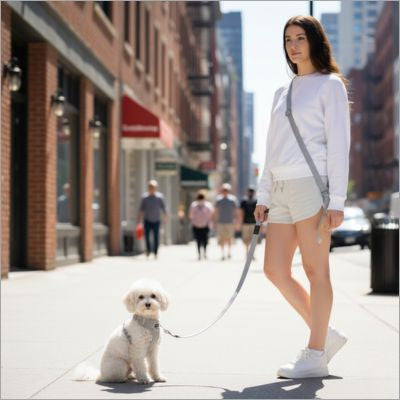 Caniche blanc assis sur un trottoir avec une laisse main libre pour chien grise en ville.