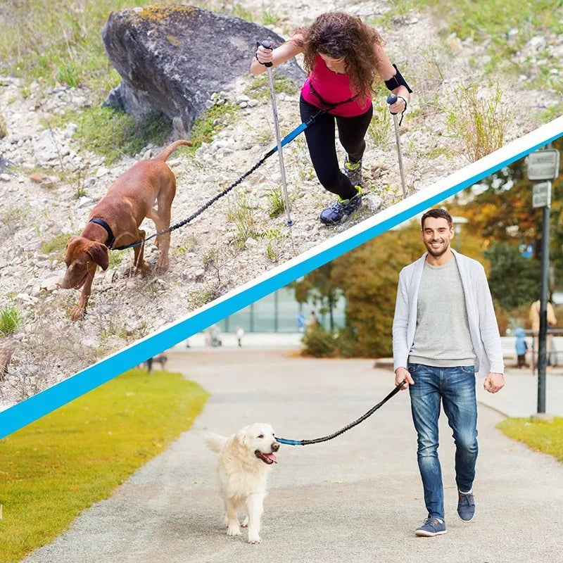 Laisse main libre pour chien : L'image montre 2 personnes, l'une dans la montagne, son chien, l'autre sur le Terroir. Ils utilisent la laisse pour chien
