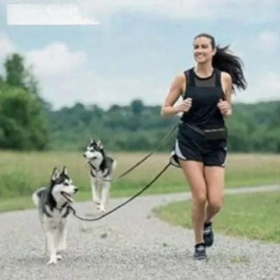 Femme faisant du jogging avec deux Huskies Sibériens et une laisse main libre pour chien.