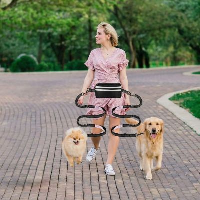 Femme en robe rose marchant avec deux chiens Loulou de Poméranie et laisse main libre pour chien.