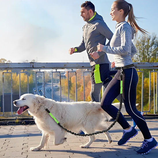 Couple courant sur un pont avec un Golden Retriever et une laisse main libre pour chien.