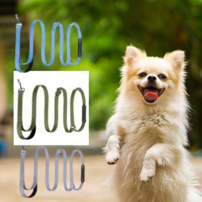 Un Spitz blanc à côté de modèles de laisse main libre pour chien en bleu, vert et gris.